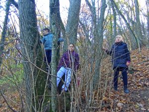 img_20241109_124005