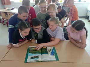 img_20250428_083142
