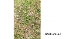 slide18