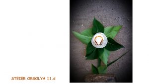 slide2