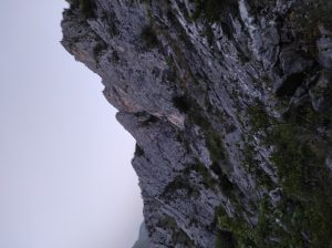 1727424445384