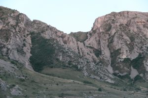 img_0131