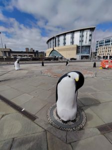 penguins