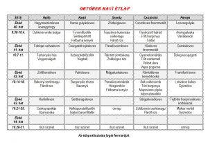 okt-havi