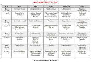 november-egesz-havi-atlap