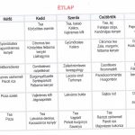 etlap-nagy