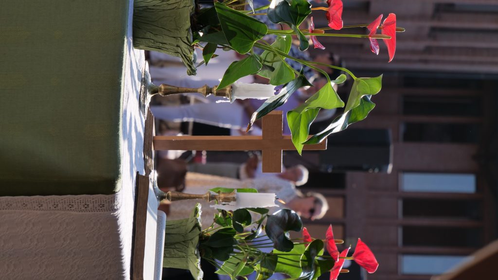 p1159291