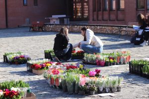 img_1876